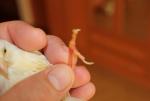 post-69567-1501144711_thumb.jpg