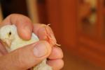 post-69567-1501144731_thumb.jpg