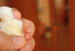 post-69567-1501144815_thumb.jpg