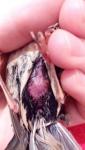 post-69725-1485355117_thumb.jpg