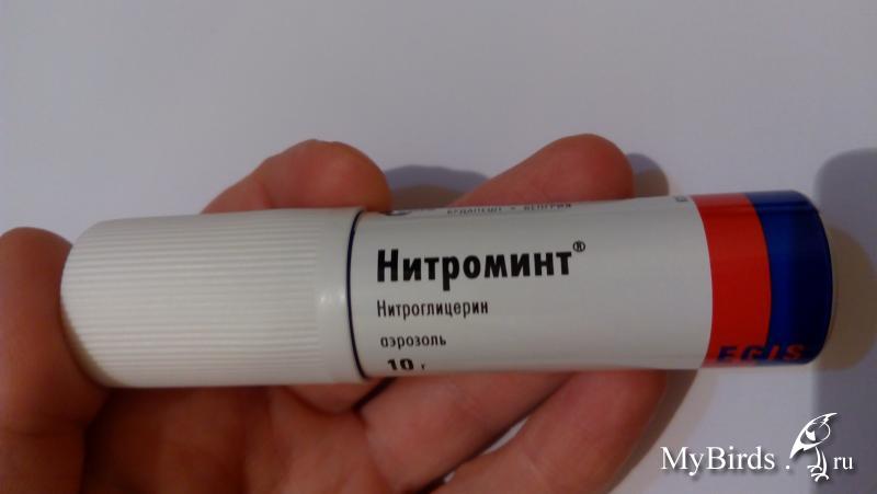 Нитрокор Инструкция По Применению Цена