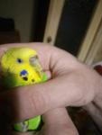 post-69740-1485367371_thumb.jpg