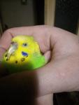 post-69740-1485367384_thumb.jpg