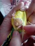 post-69782-1485796114_thumb.jpg