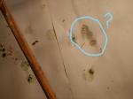 post-69840-1486279299_thumb.jpg