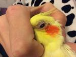 post-69856-1486639383_thumb.jpg