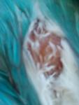 post-69859-1486314456_thumb.jpg