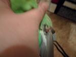 post-69874-1486397779_thumb.jpg