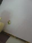 post-69902-1486545163_thumb.jpg
