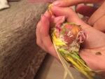 post-69902-1486563082_thumb.jpg