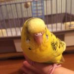 post-69902-1486563112_thumb.jpg