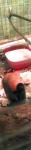 post-69932-1490803044_thumb.jpg