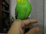 post-69964-1486911899_thumb.jpg