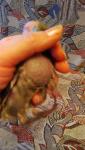 post-70260-1490181575_thumb.jpg