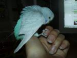 post-7028-1174934071_thumb.jpg