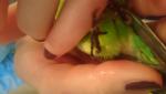 post-70392-1490347701_thumb.jpg