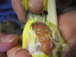 post-70398-1490443296_thumb.jpg