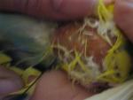 post-70398-1490443303_thumb.jpg