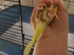 post-70450-1490773188_thumb.jpg