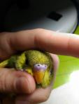 post-70450-1490863700_thumb.jpg