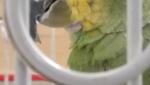 post-70520-1491231356_thumb.jpg