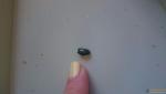 post-70591-1491752760_thumb.jpg