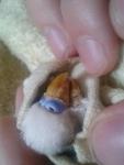post-70596-1491822069_thumb.jpg