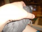post-7072-1225387978_thumb.jpg