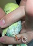 post-70848-1494078895_thumb.jpg