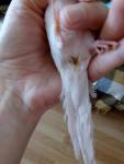 post-70864-1493655371_thumb.jpg