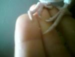post-70925-1494180943_thumb.jpg