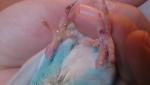 post-71094-1495655314_thumb.jpg
