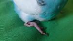 post-71094-1495655340_thumb.jpg