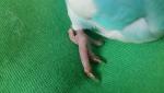 post-71094-1495655349_thumb.jpg