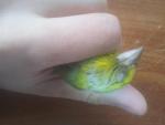 post-71151-1496581465_thumb.jpg