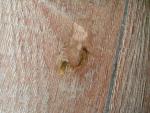 post-71192-1495948642_thumb.jpg