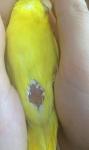 post-71202-1495990131_thumb.jpg