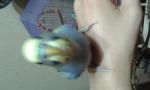 post-71228-1502223576_thumb.jpg