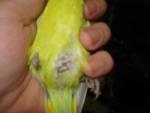 post-71247-1496427890_thumb.jpg