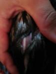 post-71303-1501892103_thumb.jpg