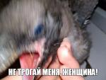 post-71330-1497814056_thumb.jpg
