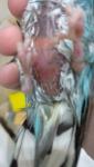 post-71390-1496854182_thumb.jpg