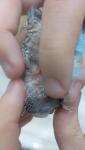 post-71390-1496854282_thumb.jpg