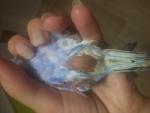 post-71428-1497121001_thumb.jpg