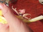 post-71493-1497475581_thumb.jpg