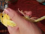 post-71493-1497475619_thumb.jpg