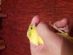 post-71493-1497475643_thumb.jpg