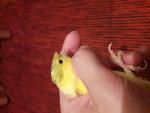 post-71493-1497475667_thumb.jpg