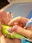 post-71580-1497986955_thumb.jpg