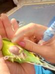 post-71580-1497986964_thumb.jpg
